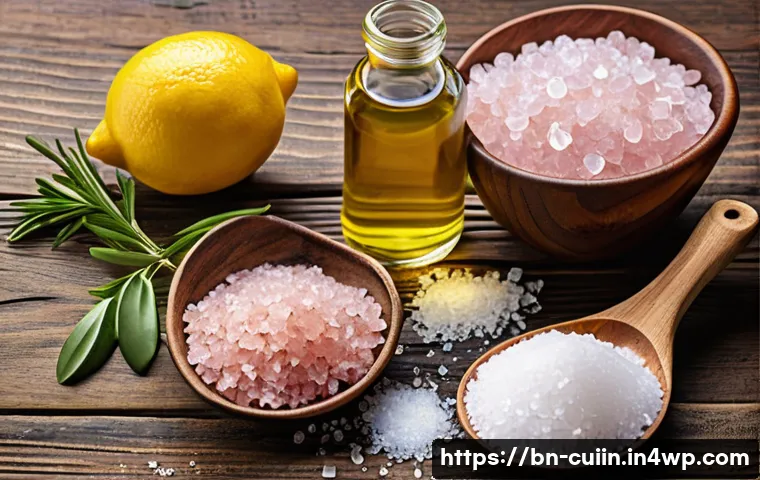 비건 요리에 어울리는 맛있는 소금 종류 - A high-resolution still life composition showcasing three distinct types of salt used in vegan cooki...